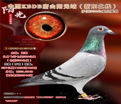 4 CHN2024-03-0697133 