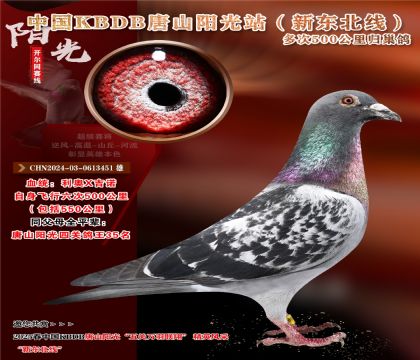 7 CHN2024-03-0613451 