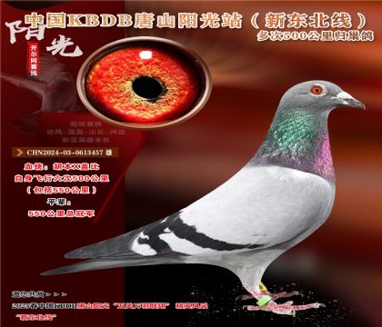 9 CHN2024-03-0613457 