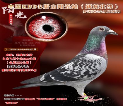 10 CHN2024-03-0598907 