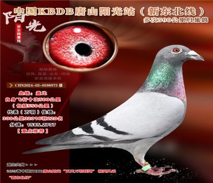 14 CHN2024-03-0598973 