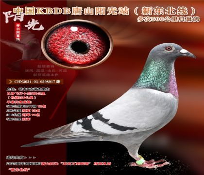 16 CHN2024-03-0598917 
