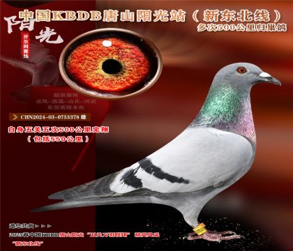 3 CHN2024-03-0753378 