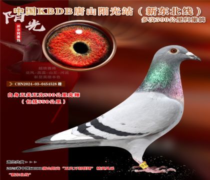 4 CHN2024-03-0454528 