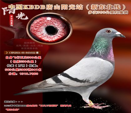 8 CHN2024-03-0454522 