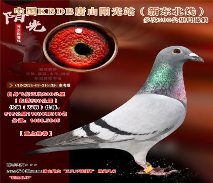 10 CHN2024-03-3164356 