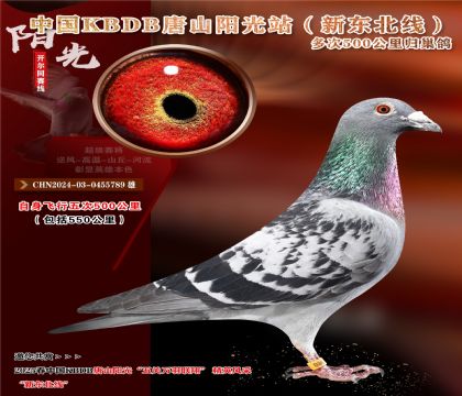 18 CHN2024-03-0455789 