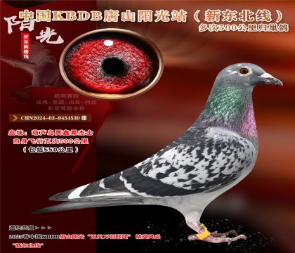 19 CHN2024-03-0454530 