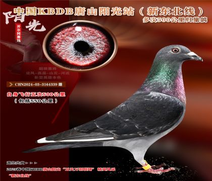21 CHN2024-03-3164339 