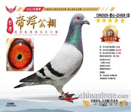۬qQِ87