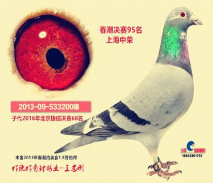 ϺИsQِ95