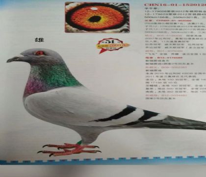 LI(y)ӢֱO¸׵O120