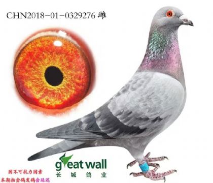 LI(y)¸׵ֱOŮ276