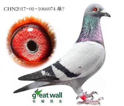 LI(y)¸׵ϽHѪ074