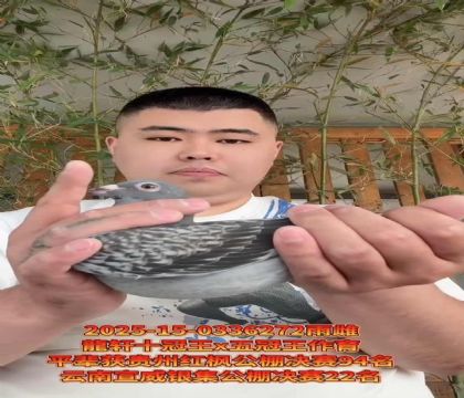龍軒十冠王X五冠王作育
