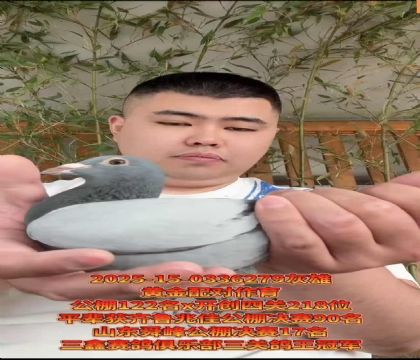齊魯兆佳122名X開創(chuàng)者四關(guān)218位/龍軒黃金配對(duì)
