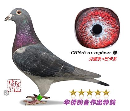 123622109096ֱӣ