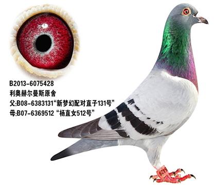 ĸH
