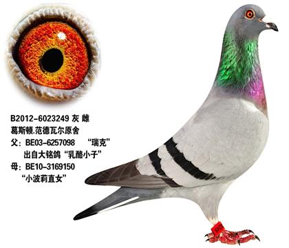 ĸH