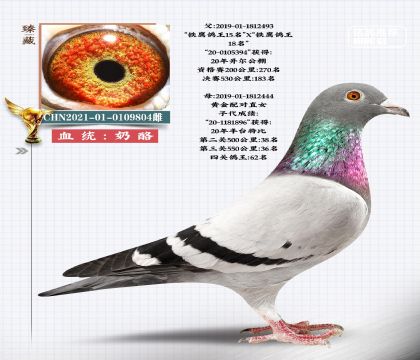ہ-S䌦(du)OŮ