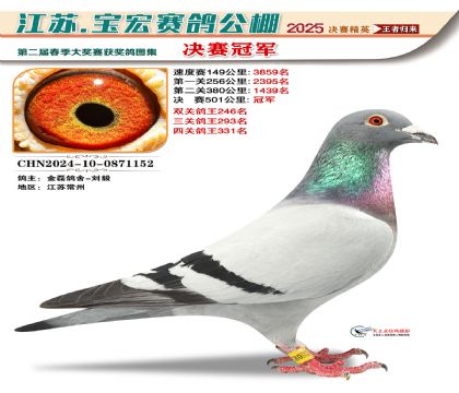 寶宏春棚決賽冠軍