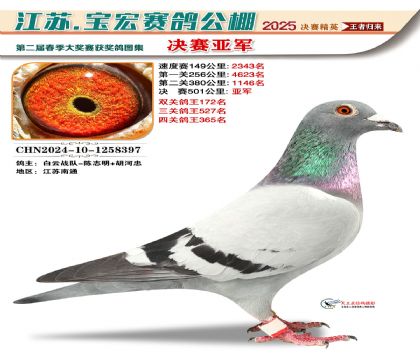 寶宏春棚決賽亞軍