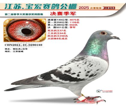 寶宏春棚決賽季軍