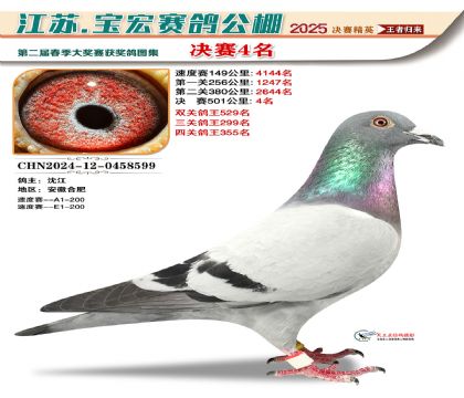 寶宏春棚決賽4名