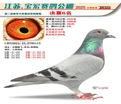 寶宏春棚決賽6名
