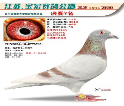 寶宏春棚決賽7名