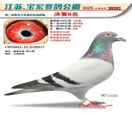寶宏春棚決賽8名