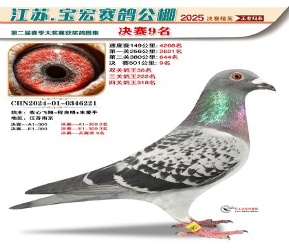 寶宏春棚決賽9名