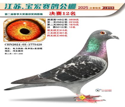 寶宏春棚決賽12名