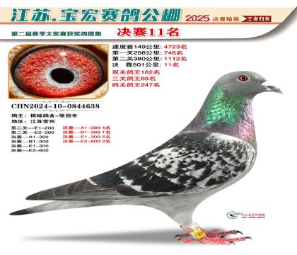 寶宏春棚決賽11名