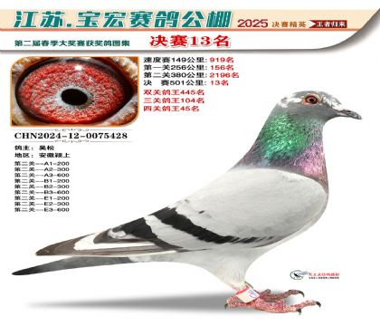 寶宏春棚決賽13名