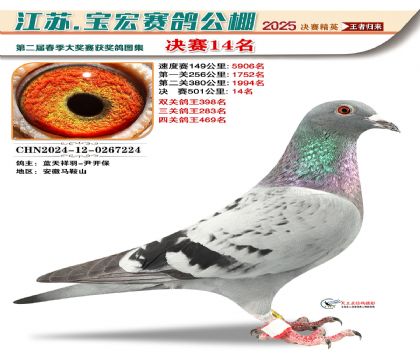 寶宏春棚決賽14名