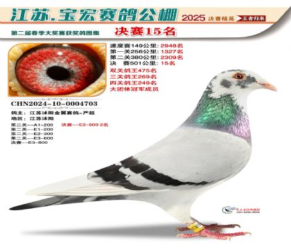 寶宏春棚決賽15名