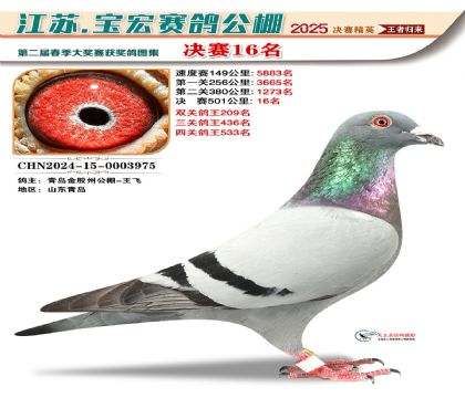 寶宏春棚決賽16名