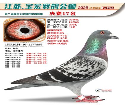 寶宏春棚決賽17名