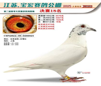 寶宏春棚決賽18名