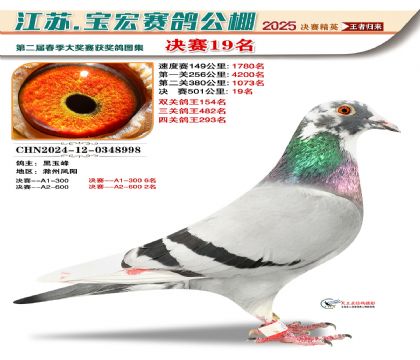寶宏春棚決賽19名