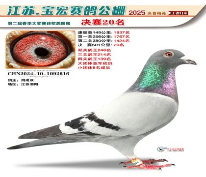 寶宏春棚決賽20名