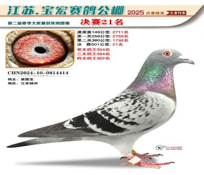 寶宏春棚決賽21名