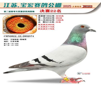 寶宏春棚決賽22名