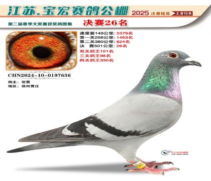 寶宏春棚決賽26名