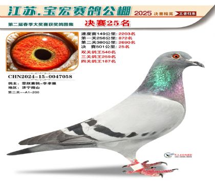 寶宏春棚決賽25名