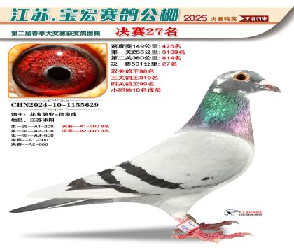 寶宏春棚決賽27名