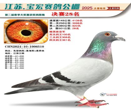 寶宏春棚決賽28名