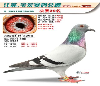 寶宏春棚決賽29名
