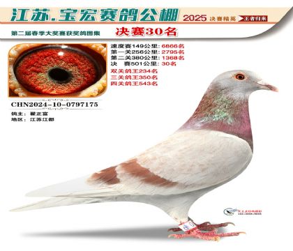 寶宏春棚決賽30名